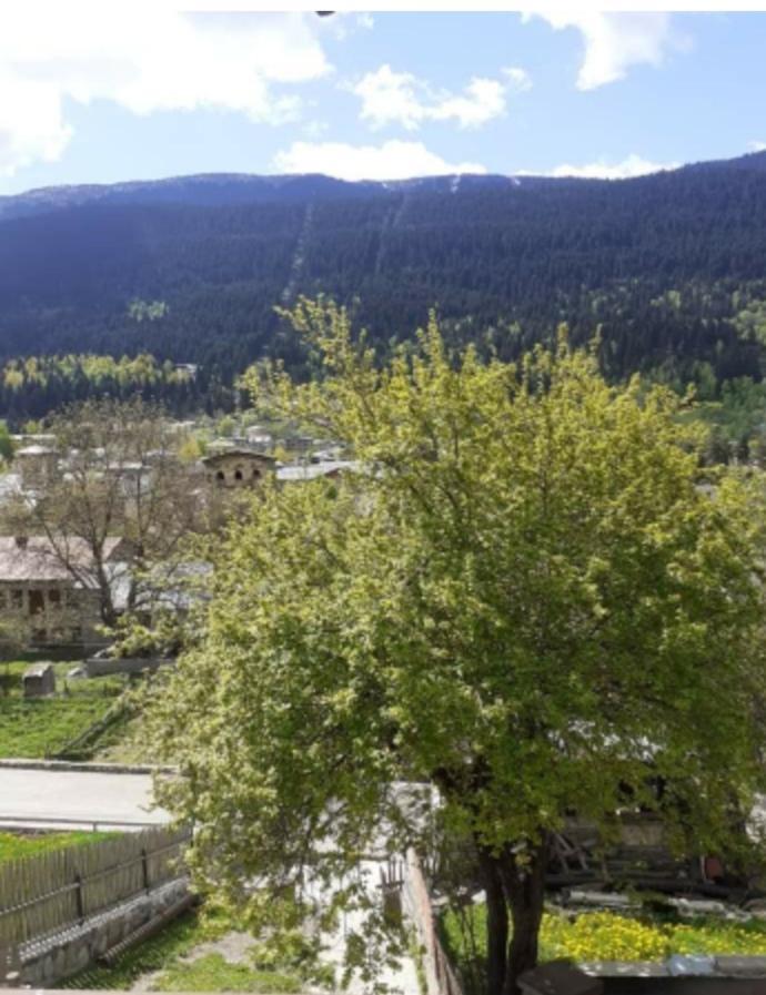 Hotel White Mountains • Თეთრი Მთები Mestia Ngoại thất bức ảnh